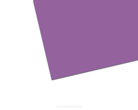 BRYSTOL COLORLINE 150G50X65 18 A'25 FIOLET 41017