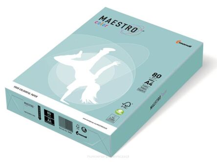 PAPIER PASTEL MAESTRO COLOR 80G/MM2 A4 NIEB MB30