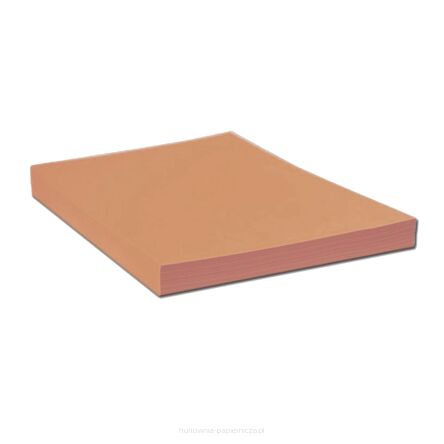 PAPIER KSERO KOLOR 80G/M A-4/100 BRĄZ JASNY PROTOS