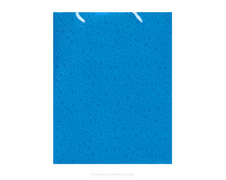 TORBY PREZENTOWE 17-2 32x26x12