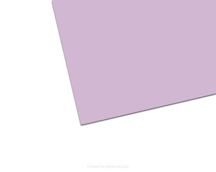 BRYSTOL COLORLINE 150G50X65 17 A'25 LILA 41016