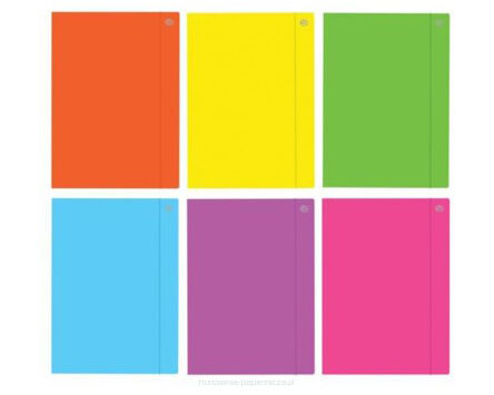 TECZKA Z GUMKĄ A4+ FLUO  MIX KOLORÓW INTERDRUK