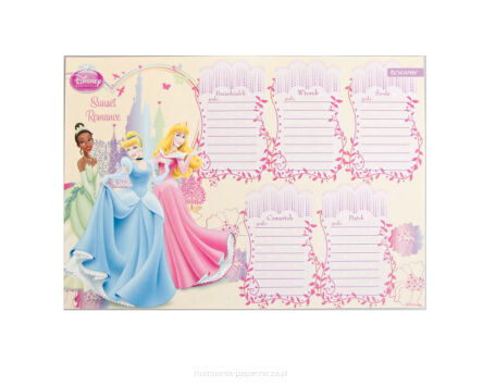 PLAN LEKCJI Z MAGNESEM PRINCESS 600059