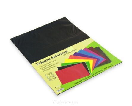 TEKTURA KOL.A4 405 CZARNA