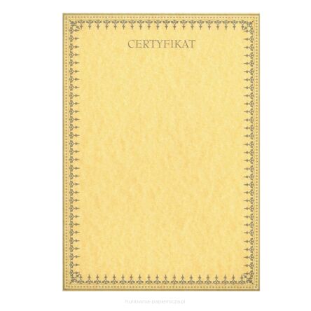 DYPLOMY OKOLICZNOŚCIOWE CERTYFIKAT I 6025948