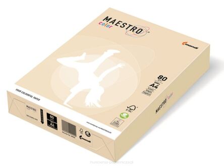 PAPIER PASTEL MAESTRO COLOR 80G 21X29,7 A4 CR20