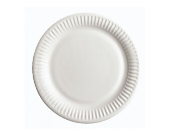 CZYŚCIOSZEK TALERZ PAPIEROWY 18CM A'6 28846