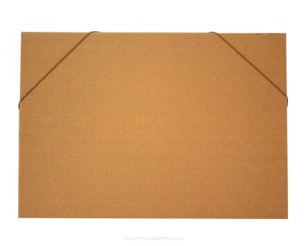 TECZKA SZKOLNA Z GUMKĄ  EKO A2 KRESKA