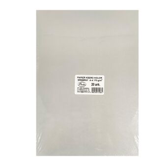 PAPIER KSERO KOLOR 170G/M A-4/20 SREBRNY PROTOS